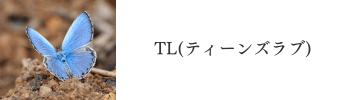 TL(ティーンズラブ)